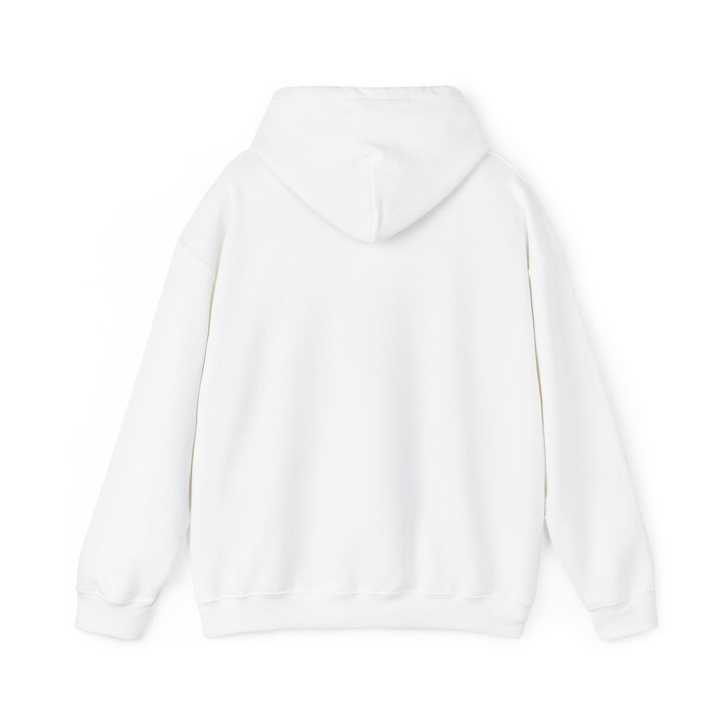 moonturtle.io company Unisex Heavy Blend™ Hooded Sweatshirt